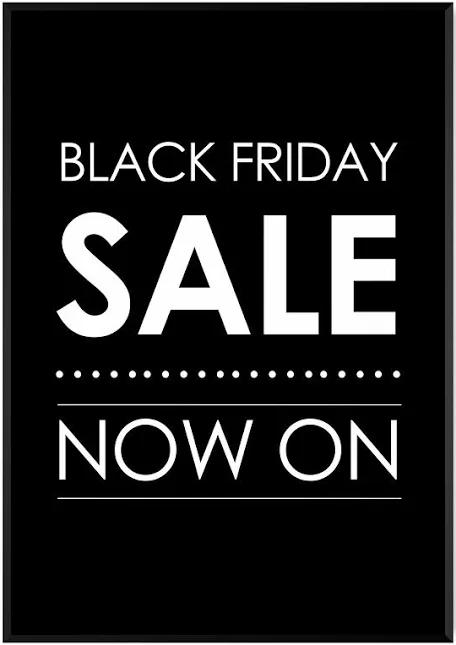 BLACK FRIDAY SALE